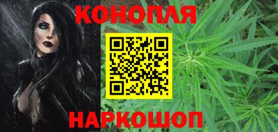 МДПВ Пенза