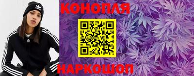 спиды Пугачёв