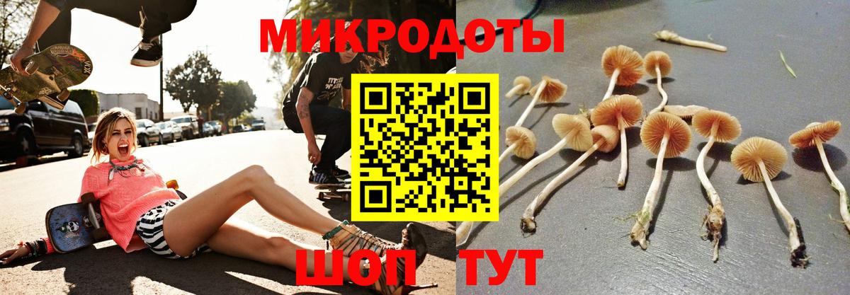 купить  сайты  Галлюциногенные грибы Psilocybe  Вход с VPN  Уварово 